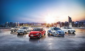 一站式互聯(lián)網汽車服務連鎖品牌 御車無憂